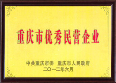 重慶市優秀民營企業