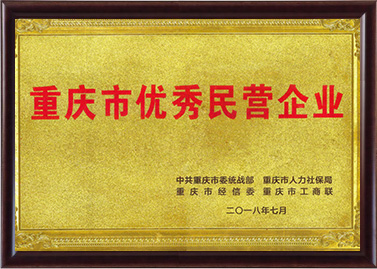 重慶市優秀民營企業