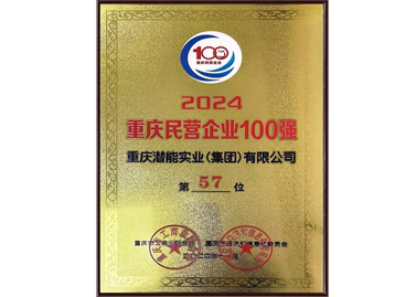 重慶民營企業100強